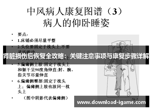 肾脏损伤后恢复全攻略:关键注意事项与康复步骤详解 肾脏损伤后恢复全攻略:关键注意事项与康复步骤详解